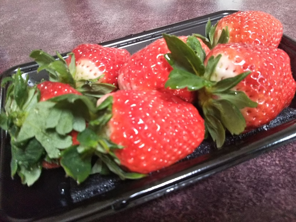 f:id:bontosyougatu:20190112223837j:plain