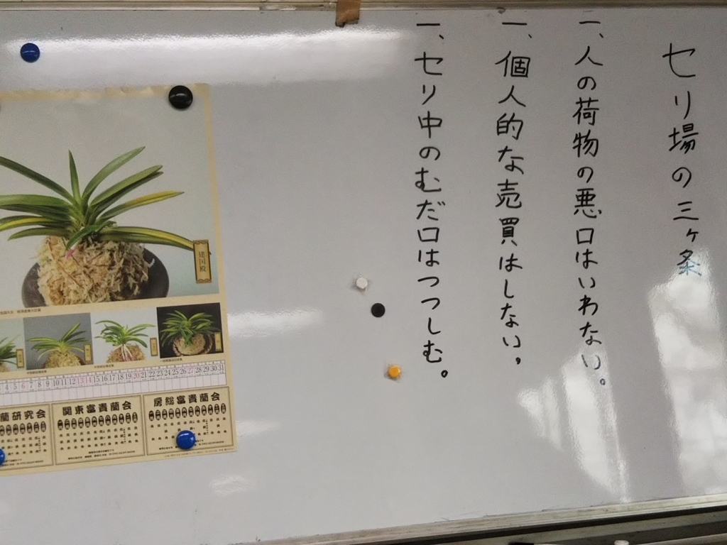 f:id:bontosyougatu:20190114163945j:plain