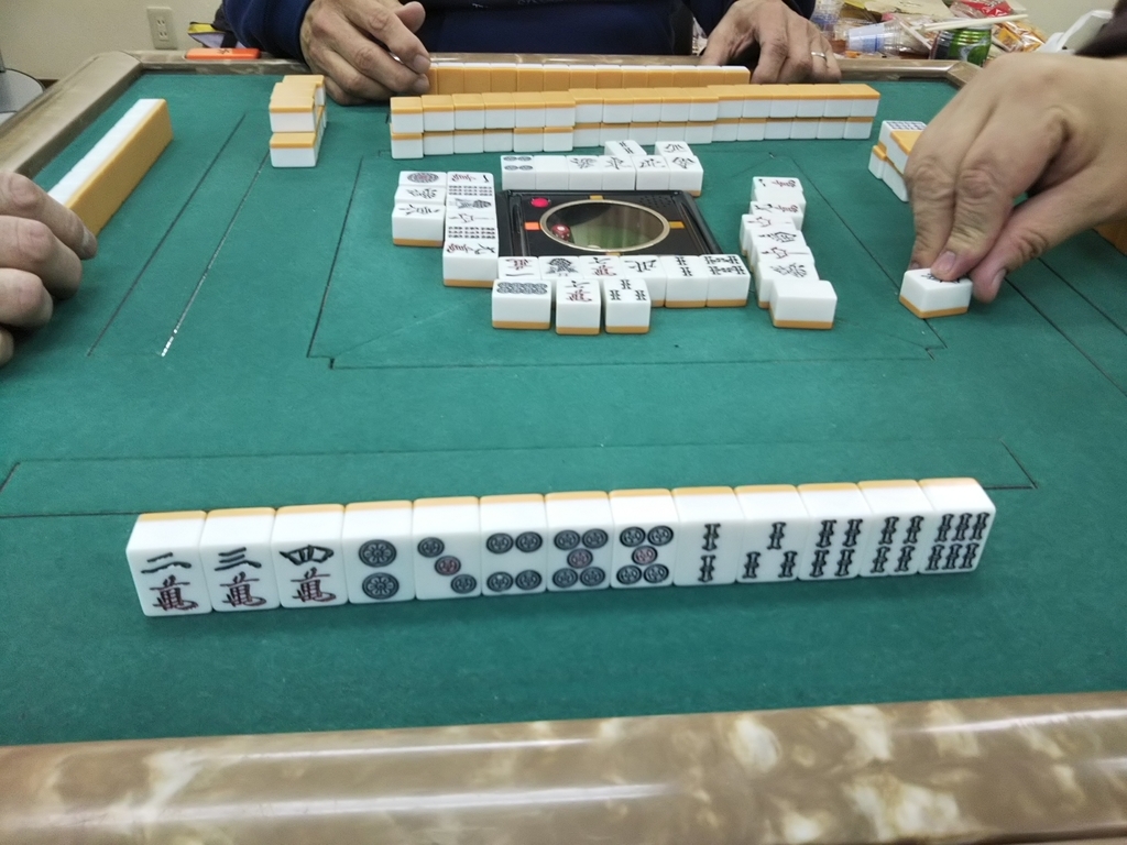 f:id:bontosyougatu:20190120230906j:plain