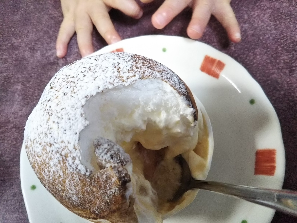 f:id:bontosyougatu:20190201213936j:plain