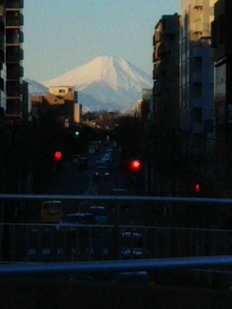 f:id:bontosyougatu:20190201214059j:plain