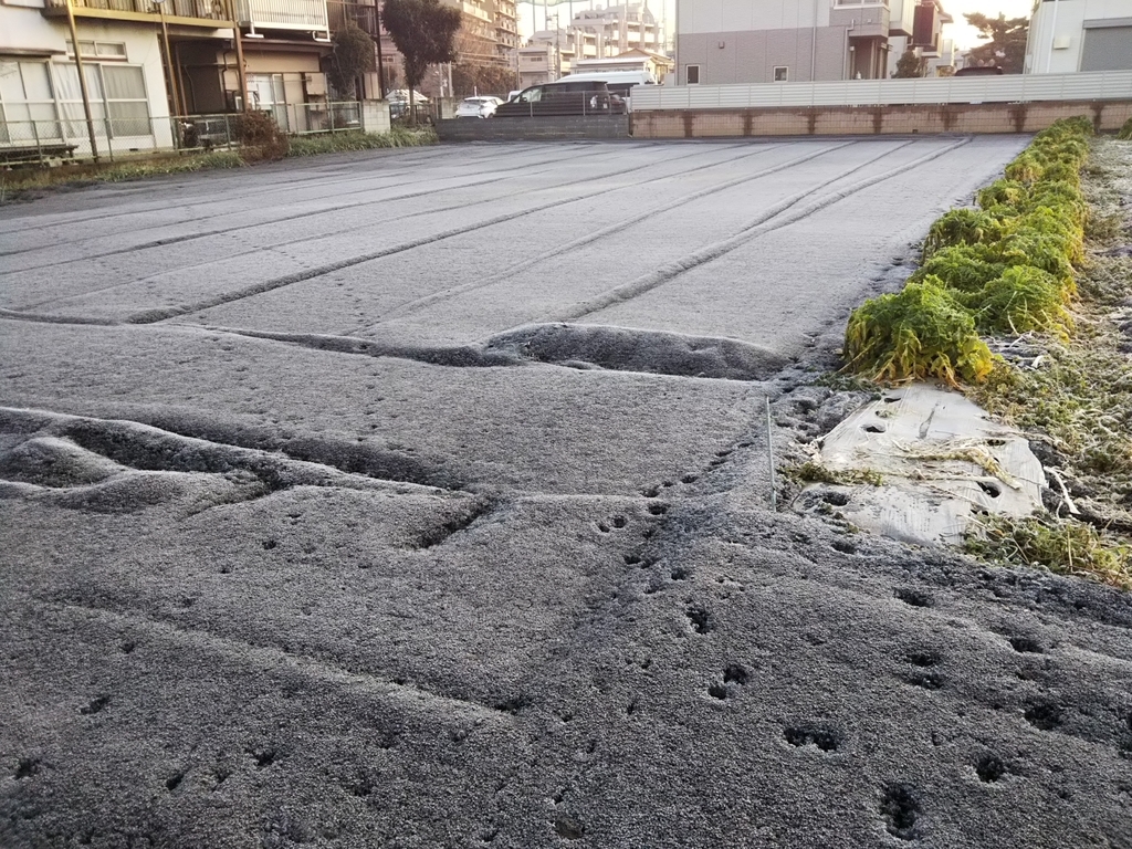 f:id:bontosyougatu:20190207214009j:plain