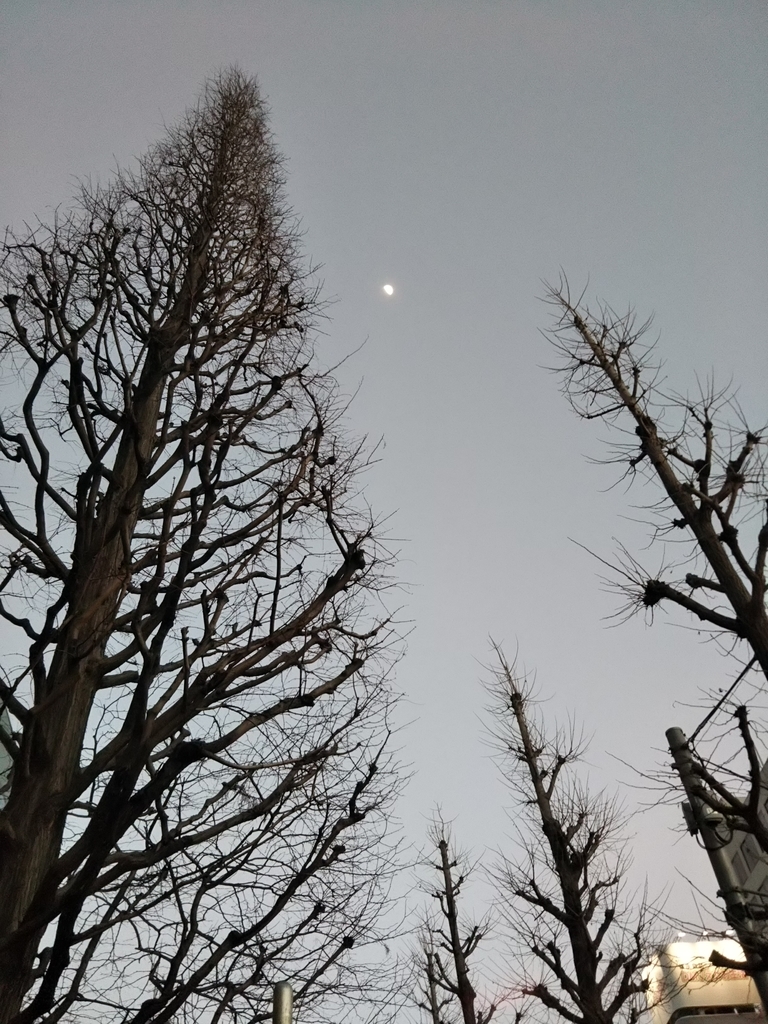 f:id:bontosyougatu:20190214180829j:plain