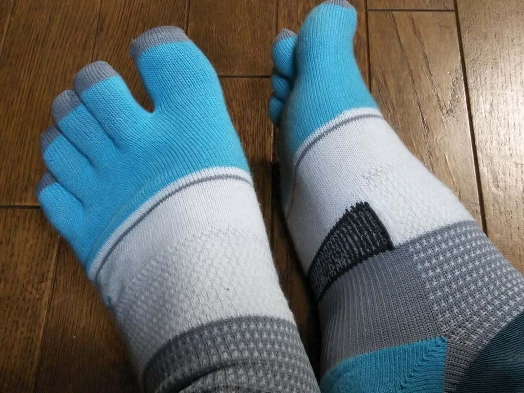 f:id:bontosyougatu:20190218214506j:plain