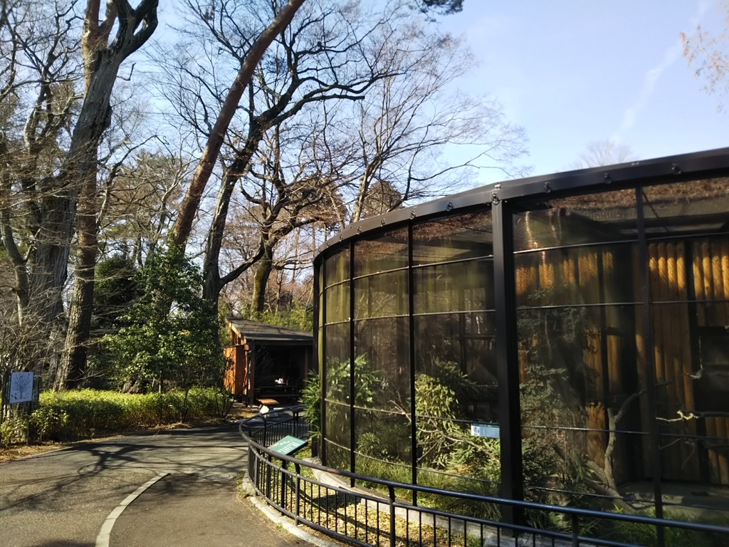 f:id:bontosyougatu:20190302221732j:plain
