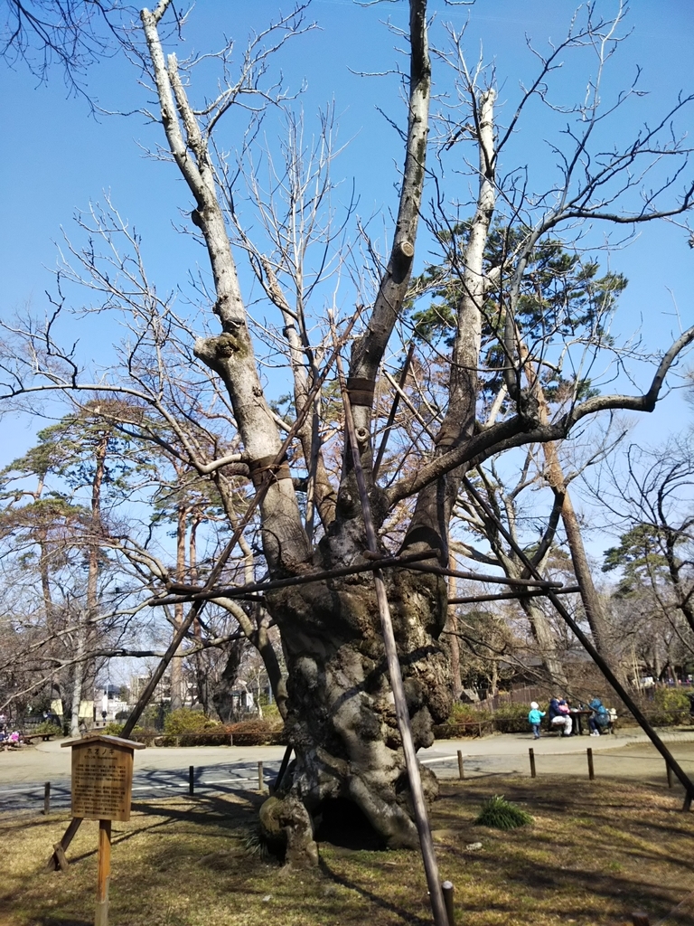 f:id:bontosyougatu:20190302221850j:plain