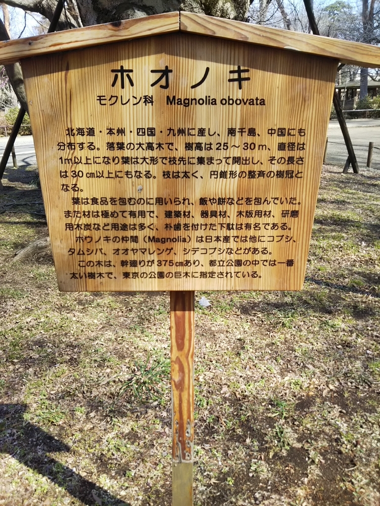 f:id:bontosyougatu:20190302221925j:plain