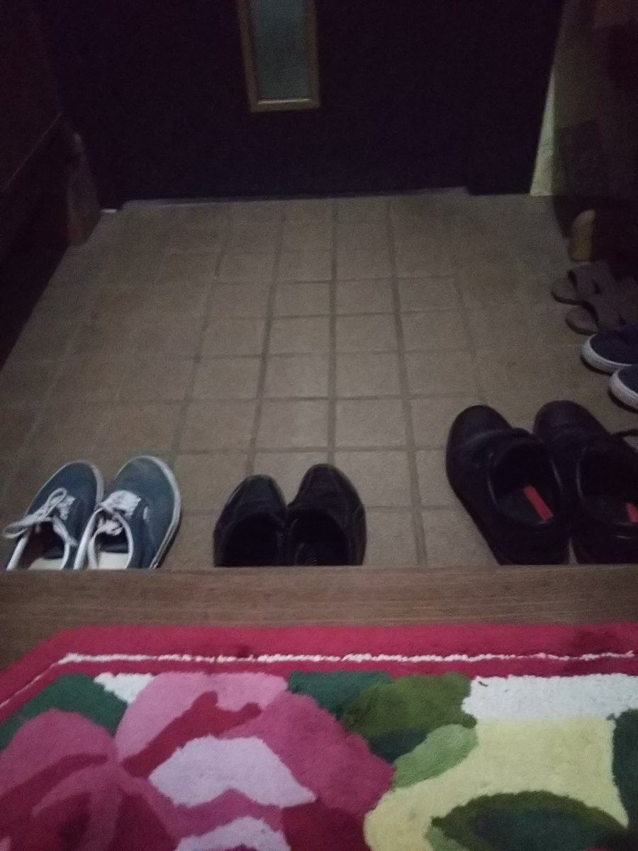 f:id:bontosyougatu:20190323204347j:plain