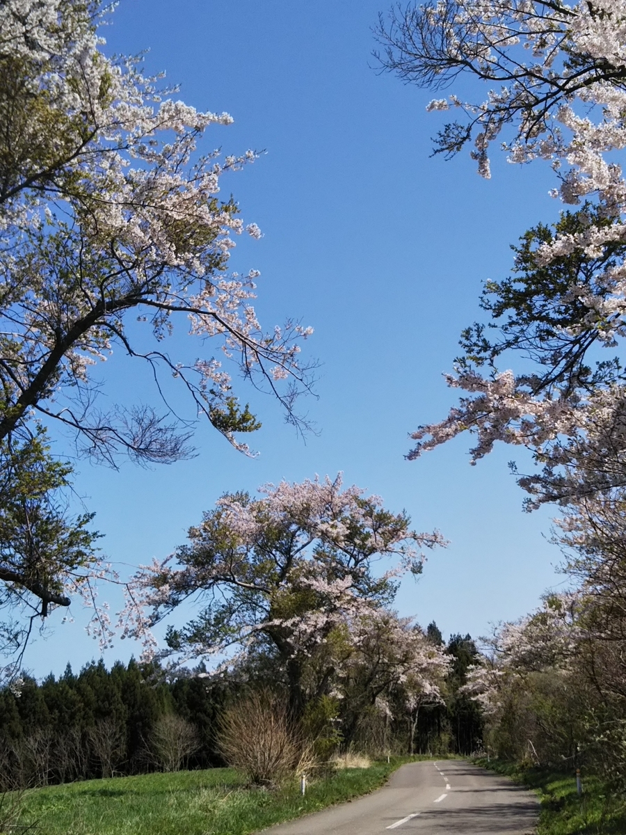 f:id:bontosyougatu:20190428145349j:plain