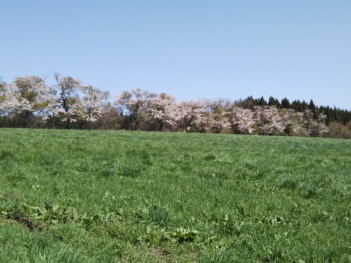 f:id:bontosyougatu:20190428150629j:plain