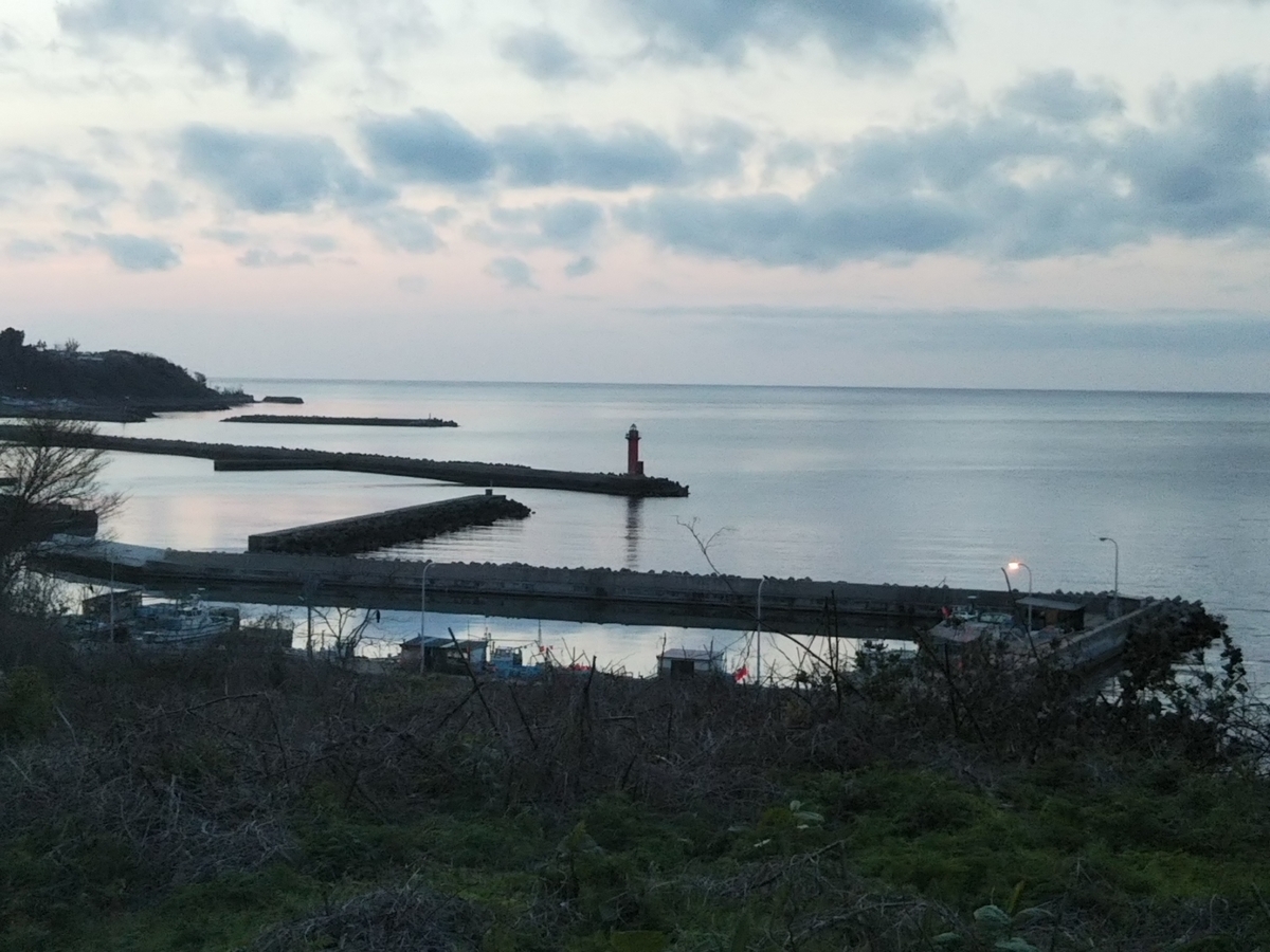 f:id:bontosyougatu:20190429170655j:plain