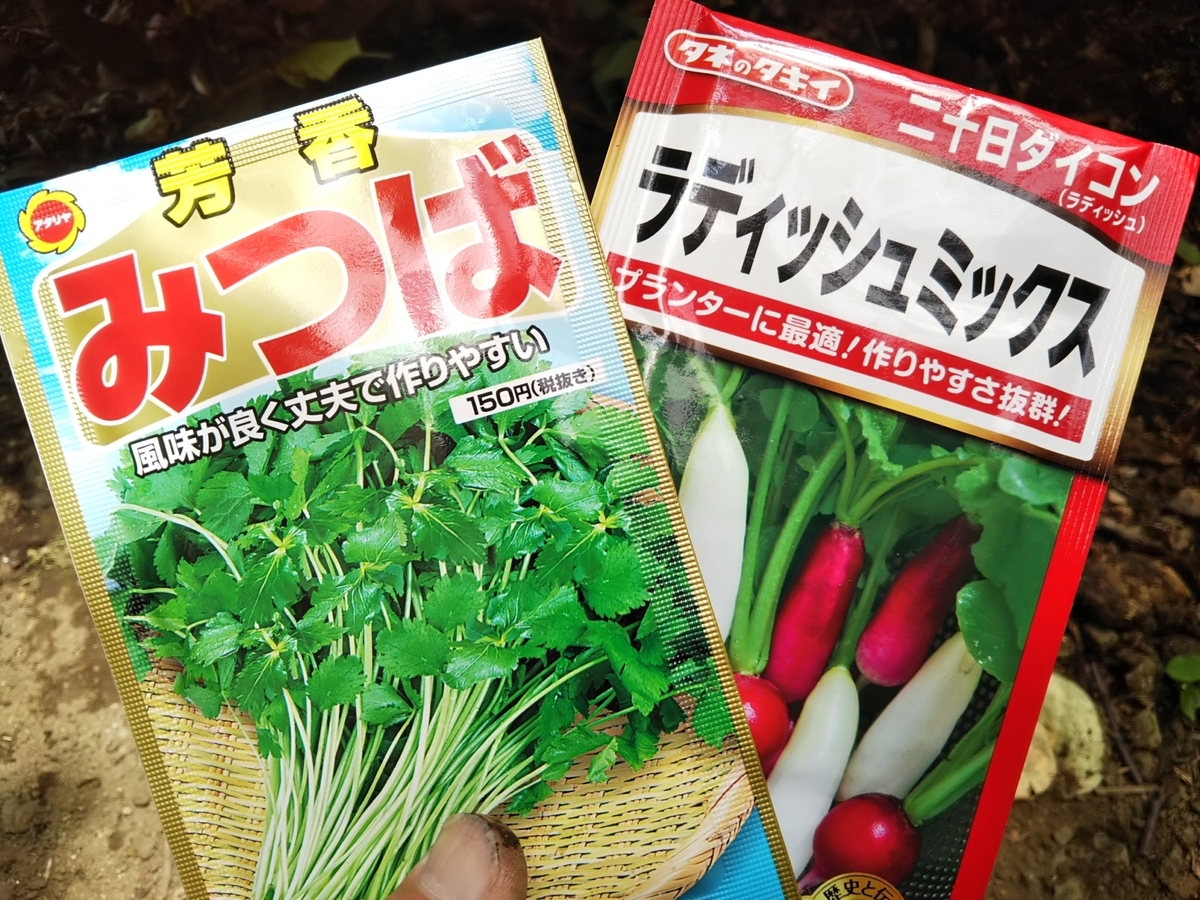 f:id:bontosyougatu:20190521203607j:plain