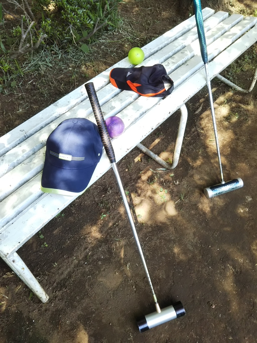 f:id:bontosyougatu:20190526202446j:plain