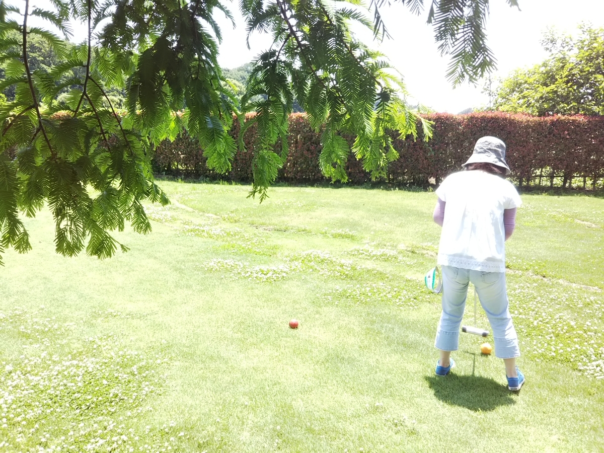 f:id:bontosyougatu:20190526202539j:plain