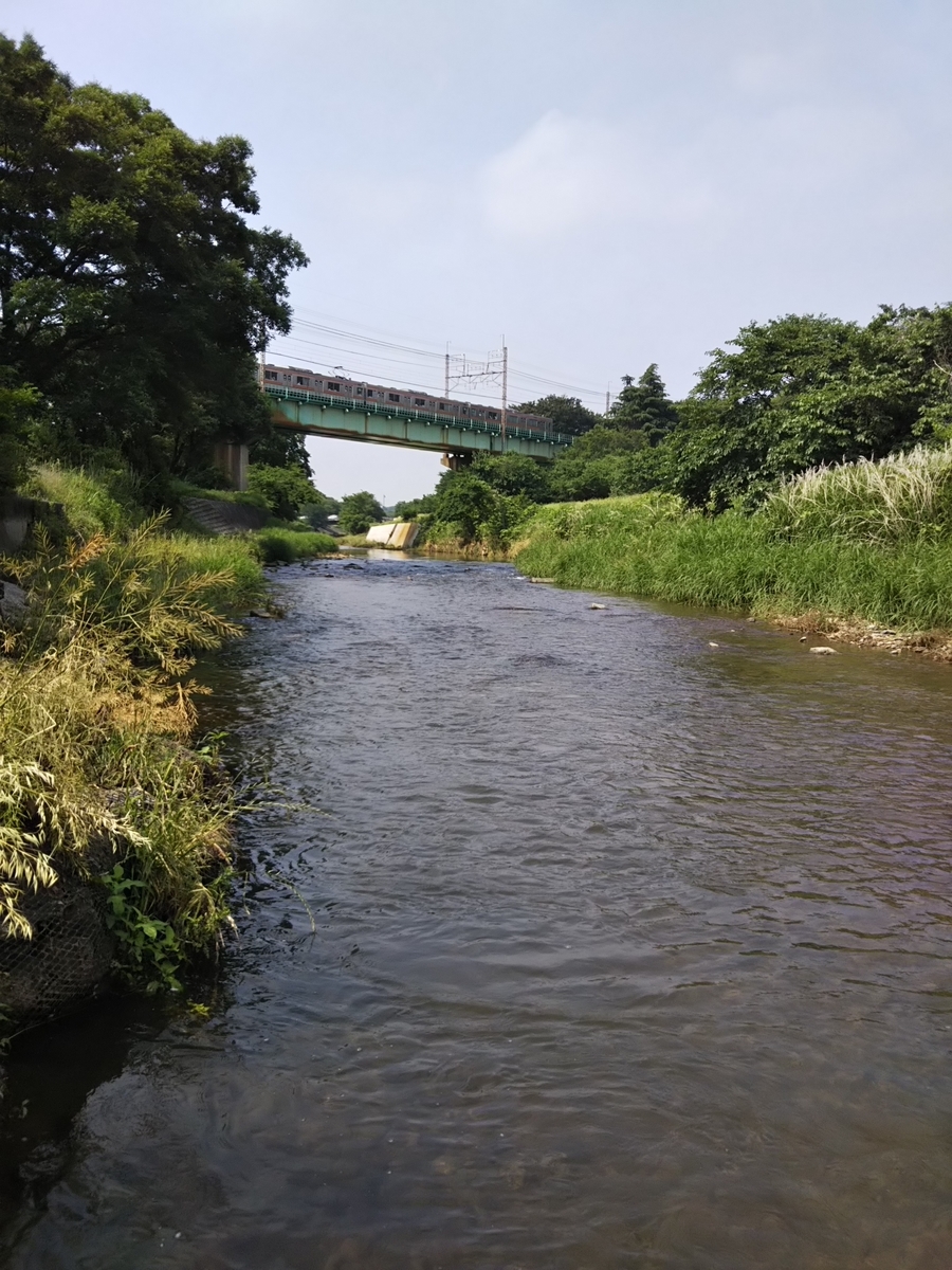 f:id:bontosyougatu:20190601122910j:plain