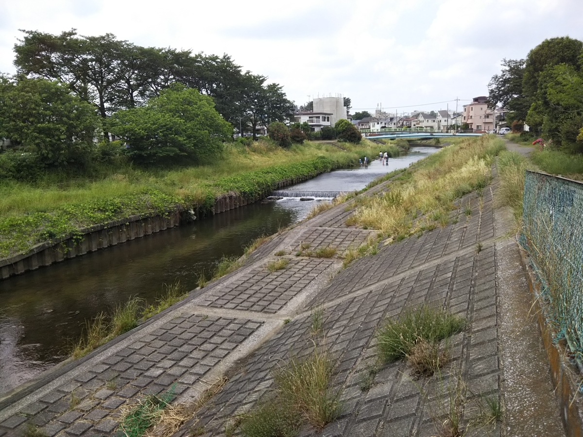 f:id:bontosyougatu:20190601123031j:plain