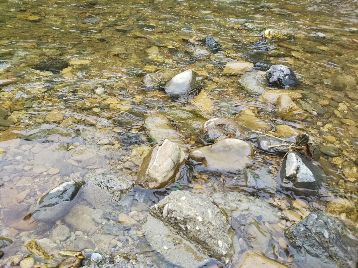 f:id:bontosyougatu:20190608213559j:plain