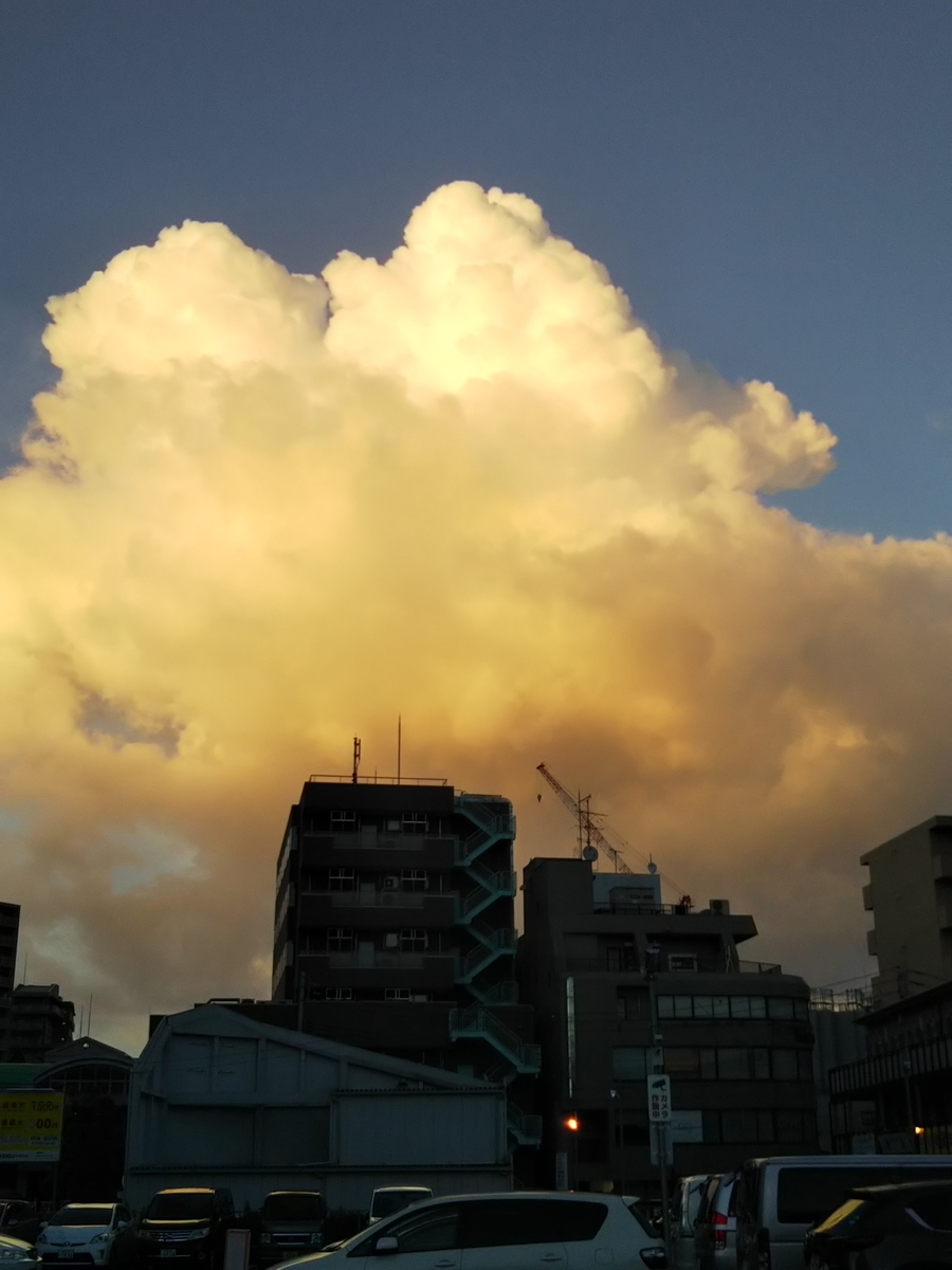 f:id:bontosyougatu:20190814223430j:plain f:id:bontosyougatu:20190814223430j:plain