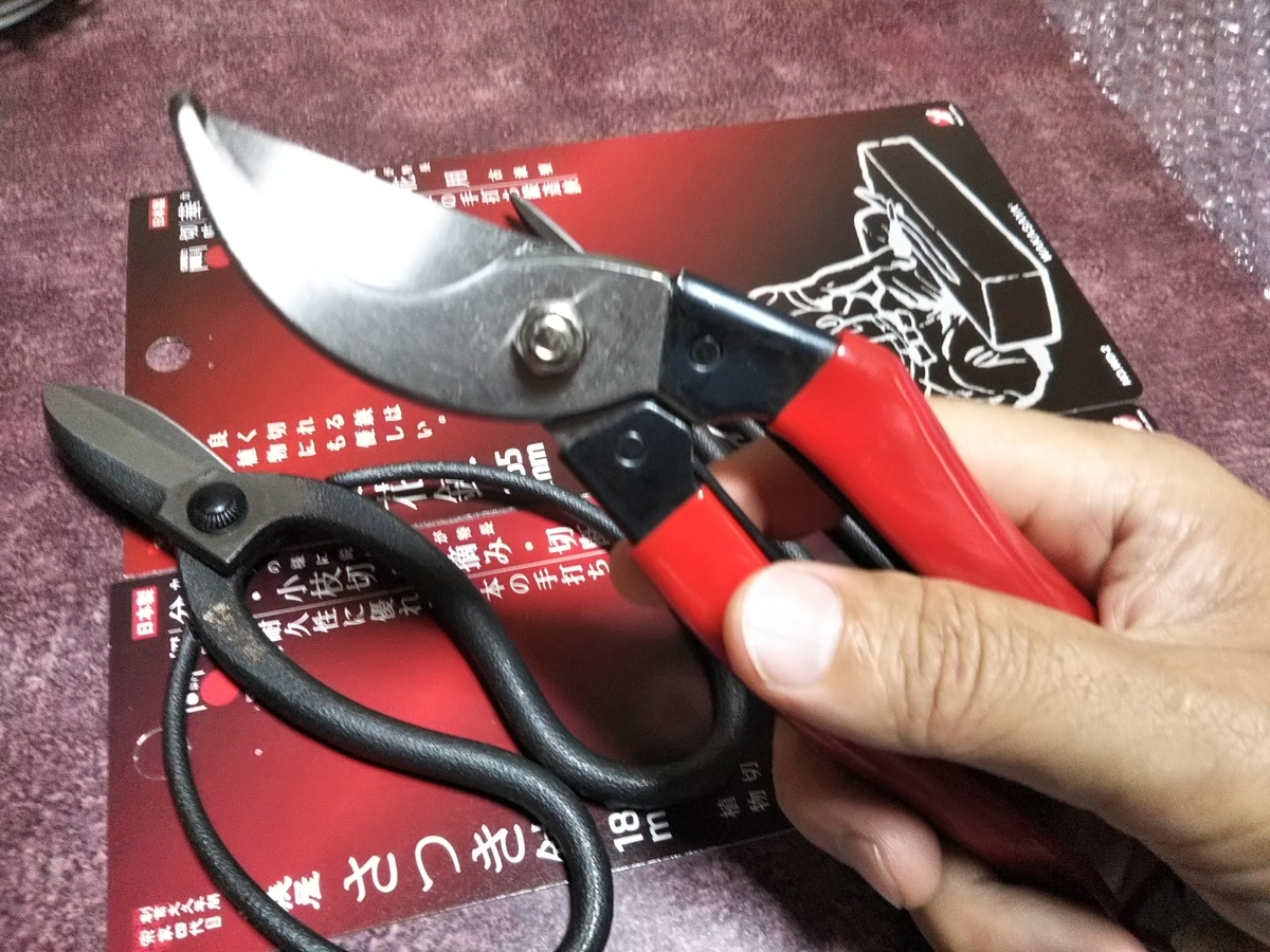 f:id:bontosyougatu:20190829211321j:plain f:id:bontosyougatu:20190829211321j:plain