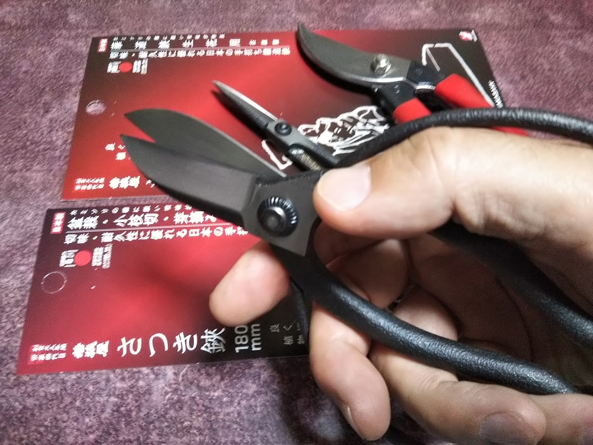 f:id:bontosyougatu:20190829211351j:plain f:id:bontosyougatu:20190829211351j:plain