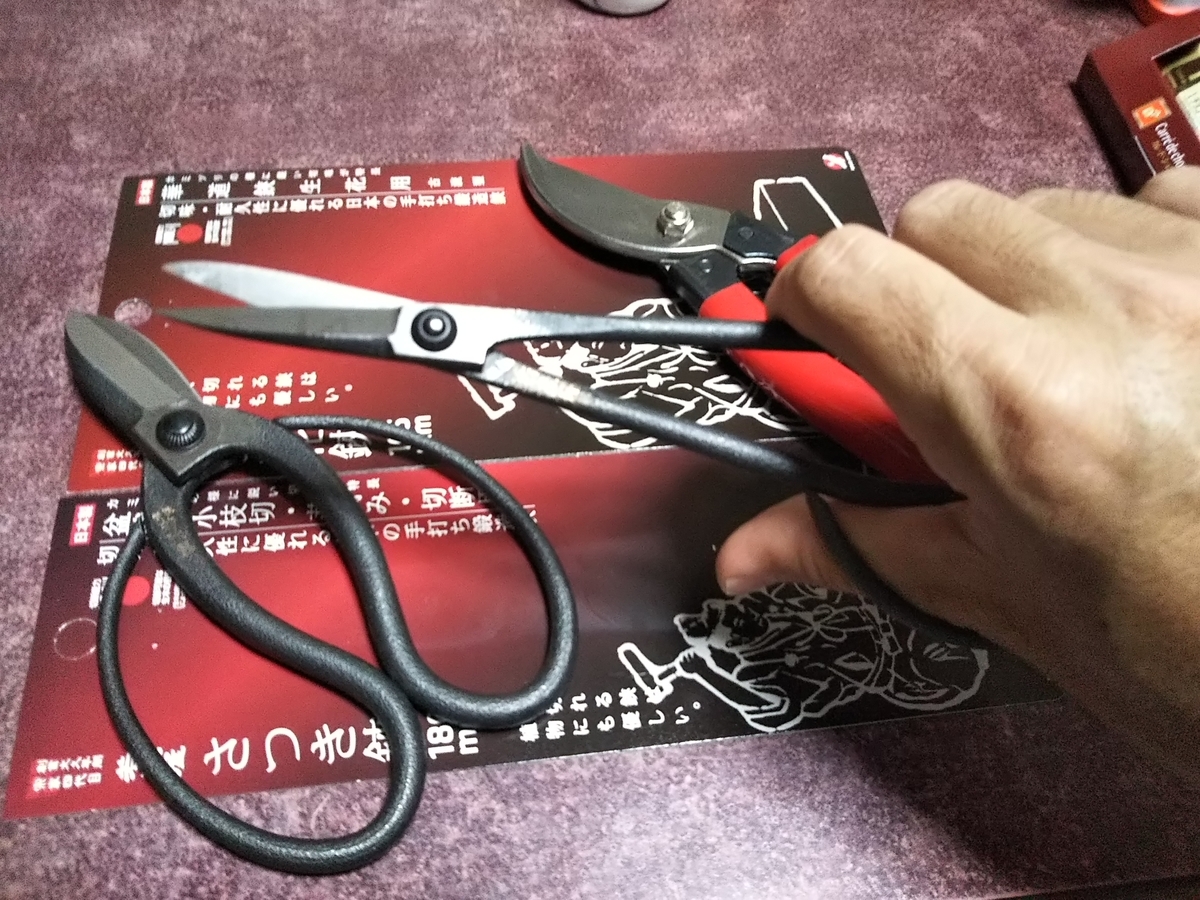 f:id:bontosyougatu:20190829211437j:plain f:id:bontosyougatu:20190829211437j:plain