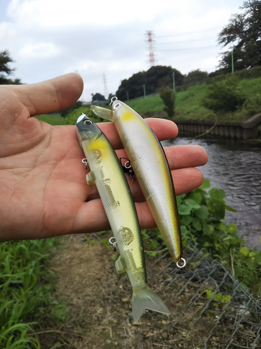 f:id:bontosyougatu:20190831213325j:plain
