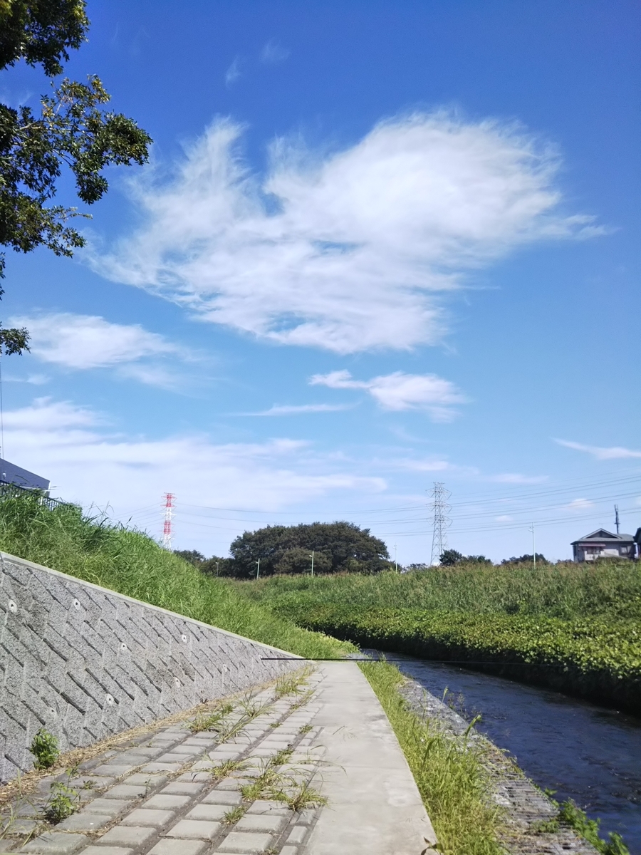 f:id:bontosyougatu:20190925181834j:plain