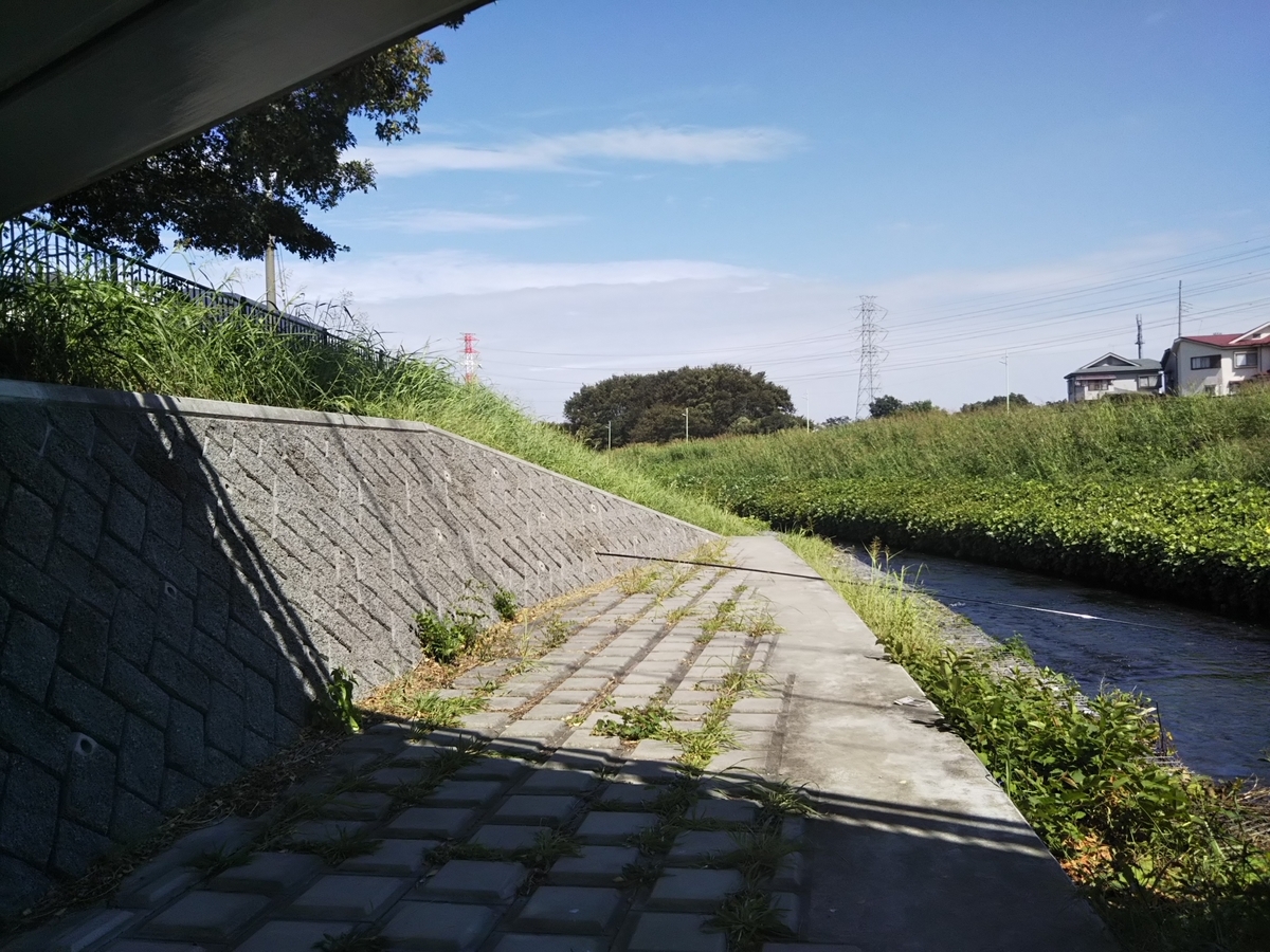 f:id:bontosyougatu:20190928210517j:plain