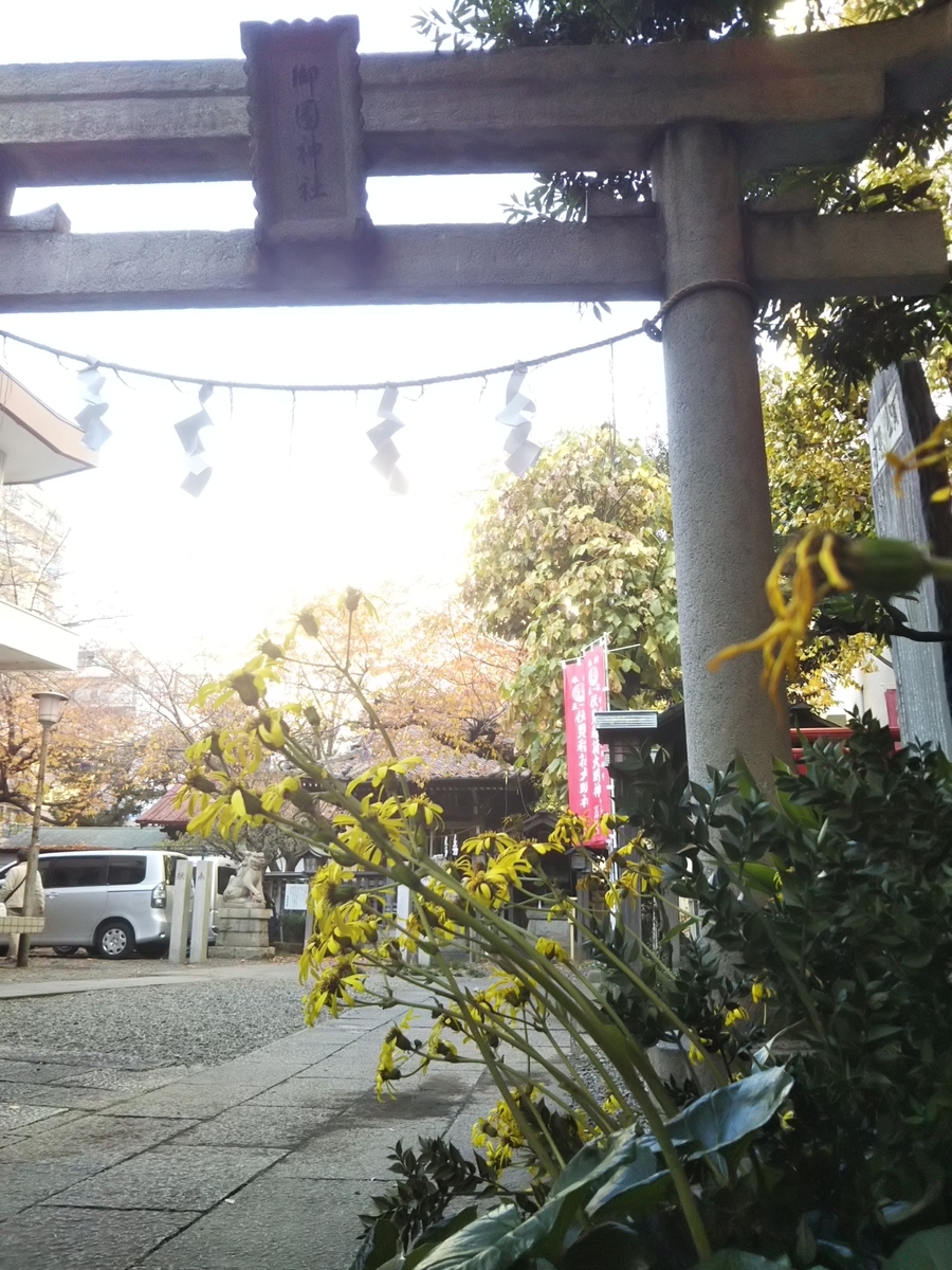 f:id:bontosyougatu:20191208201431j:plain f:id:bontosyougatu:20191208201431j:plain