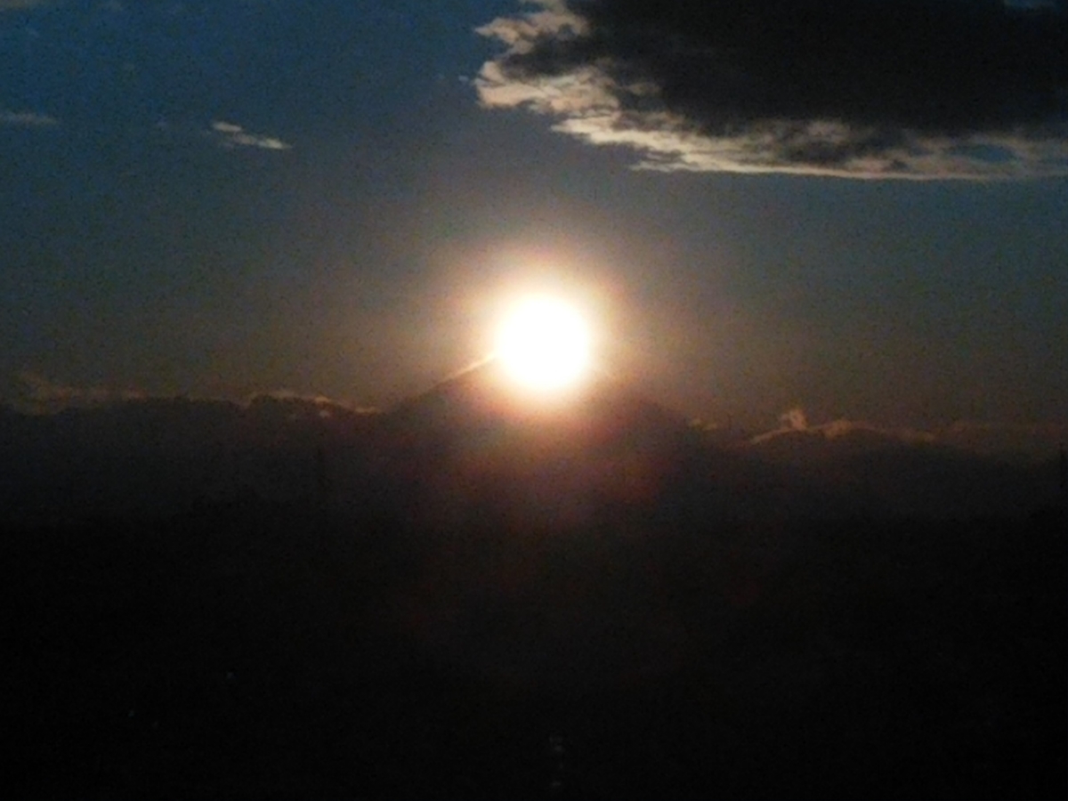f:id:bontosyougatu:20191223165014j:plain f:id:bontosyougatu:20191223165014j:plain