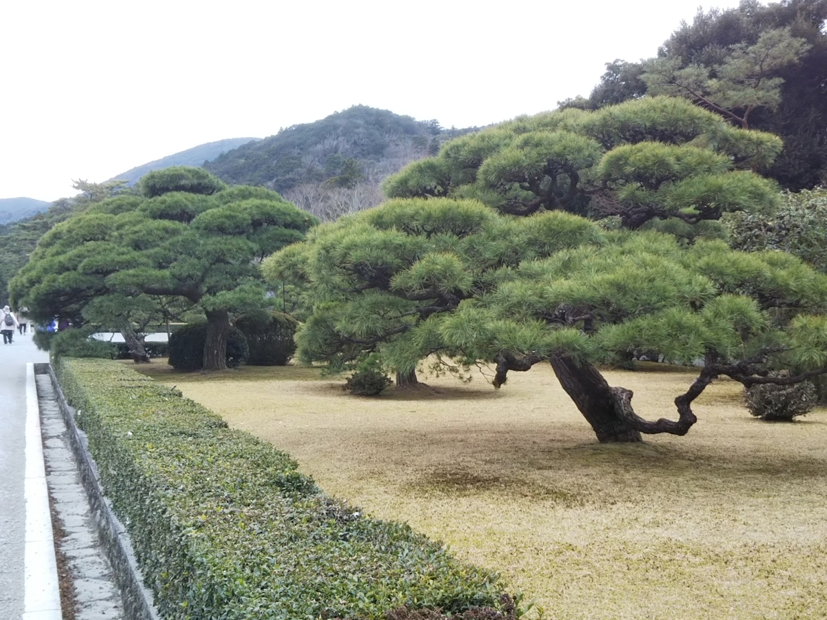 f:id:bontosyougatu:20191226224536j:plain f:id:bontosyougatu:20191226224536j:plain