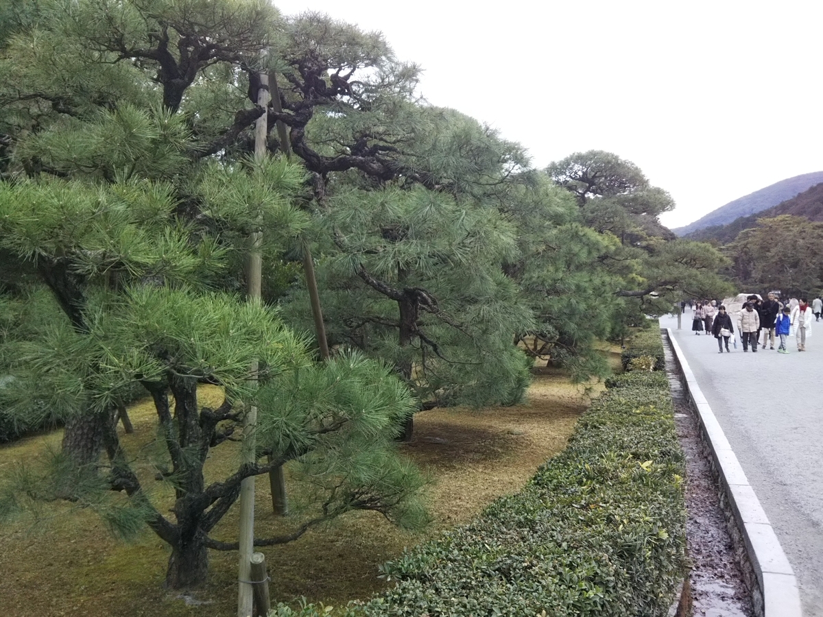 f:id:bontosyougatu:20191226224609j:plain f:id:bontosyougatu:20191226224609j:plain