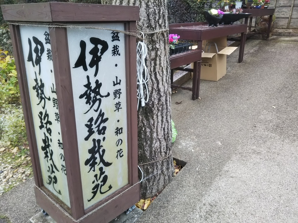 f:id:bontosyougatu:20191227220957j:plain