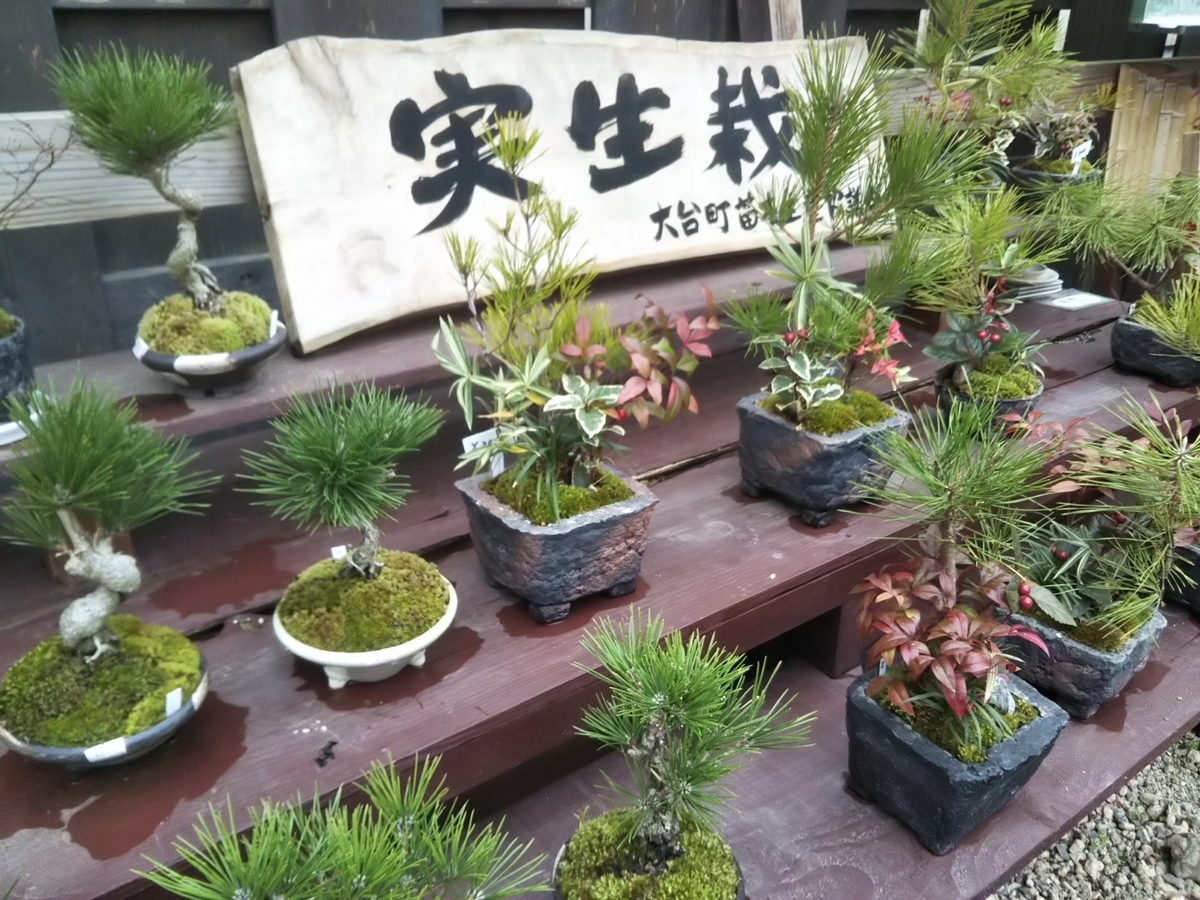f:id:bontosyougatu:20191227221104j:plain