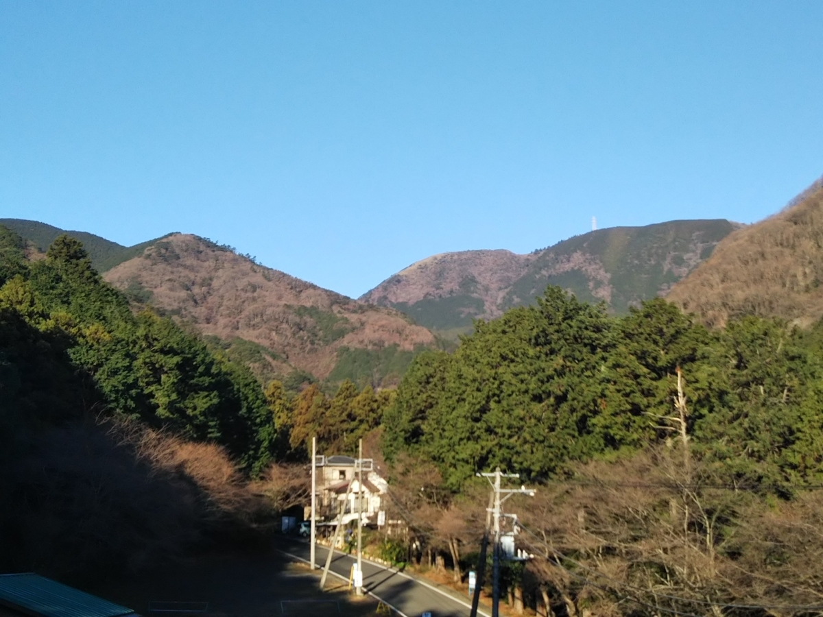 f:id:bontosyougatu:20200113204458j:plain