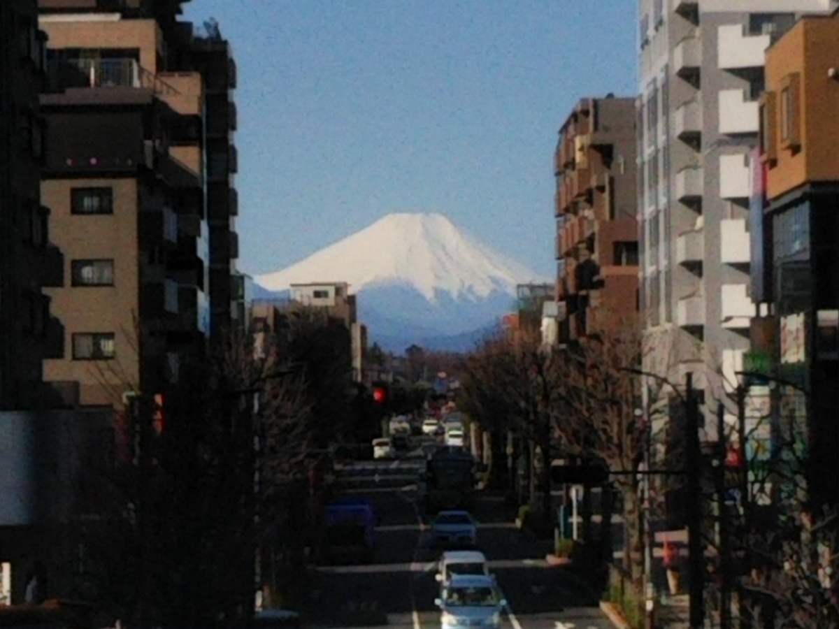 f:id:bontosyougatu:20200311085459j:plain f:id:bontosyougatu:20200311085459j:plain