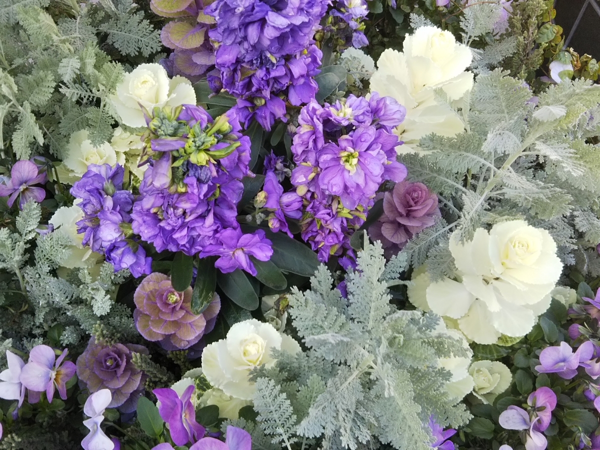 f:id:bontosyougatu:20200311085908j:plain f:id:bontosyougatu:20200311085908j:plain