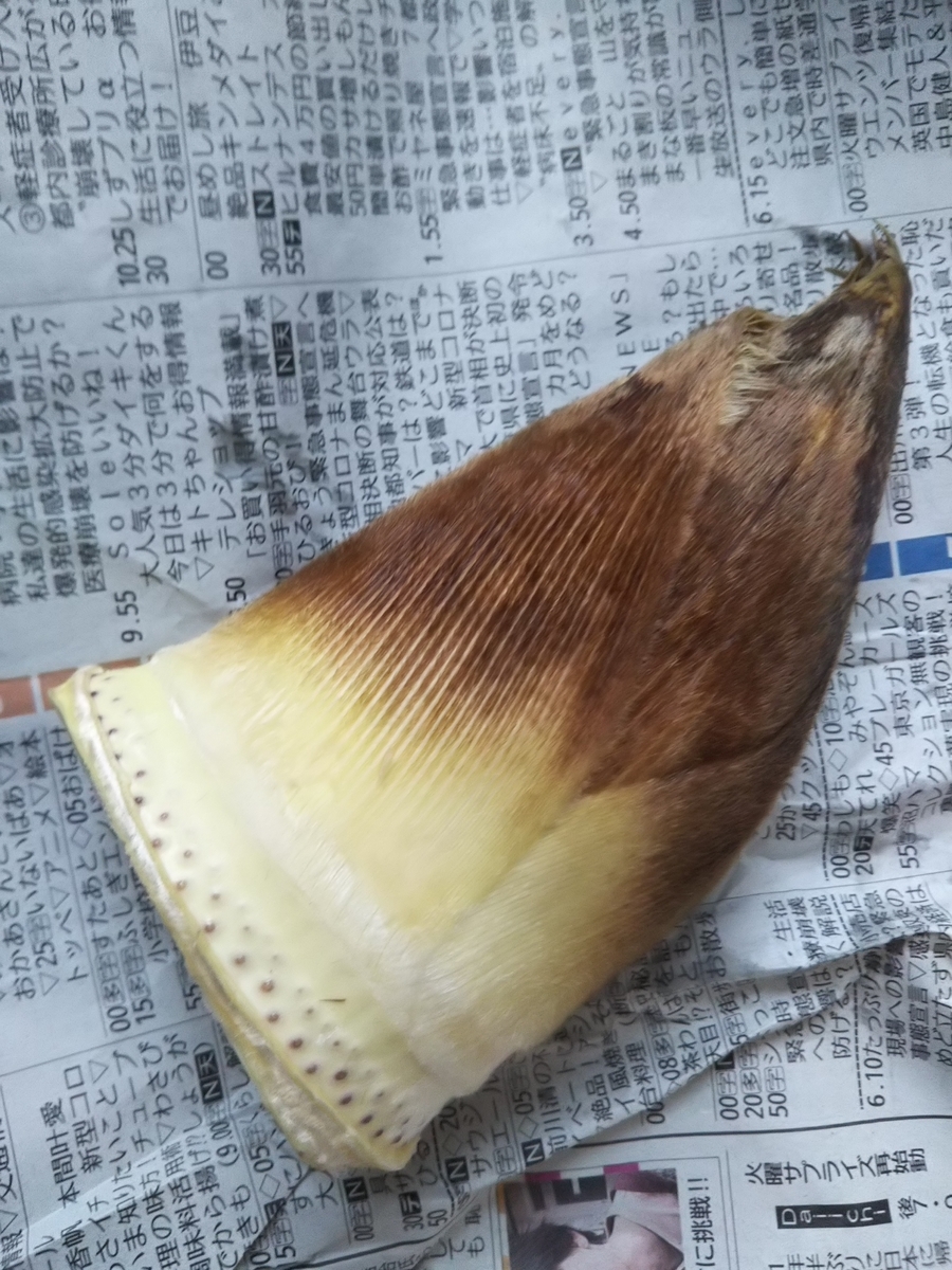 f:id:bontosyougatu:20200413211423j:plain f:id:bontosyougatu:20200413211423j:plain