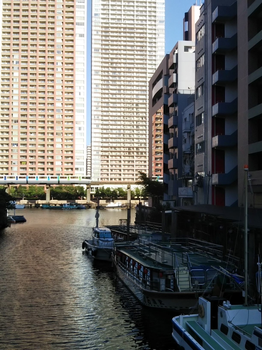 f:id:bontosyougatu:20200909205101j:plain