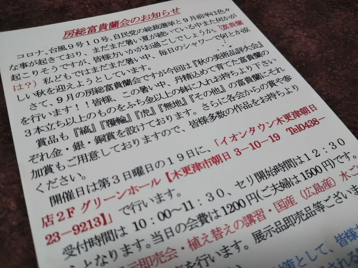 f:id:bontosyougatu:20200915210251j:plain