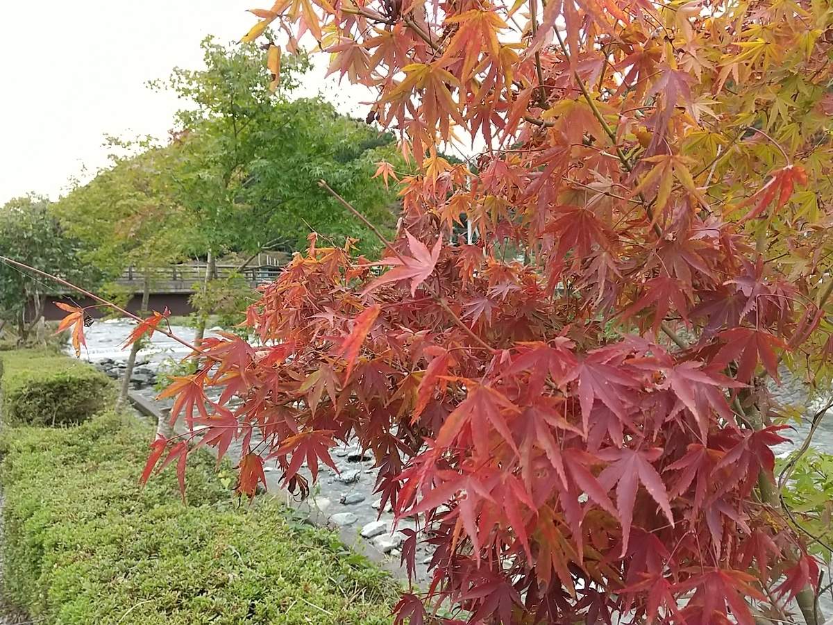 f:id:bontosyougatu:20201018185829j:plain