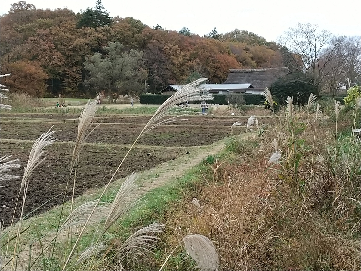f:id:bontosyougatu:20201123165452j:plain