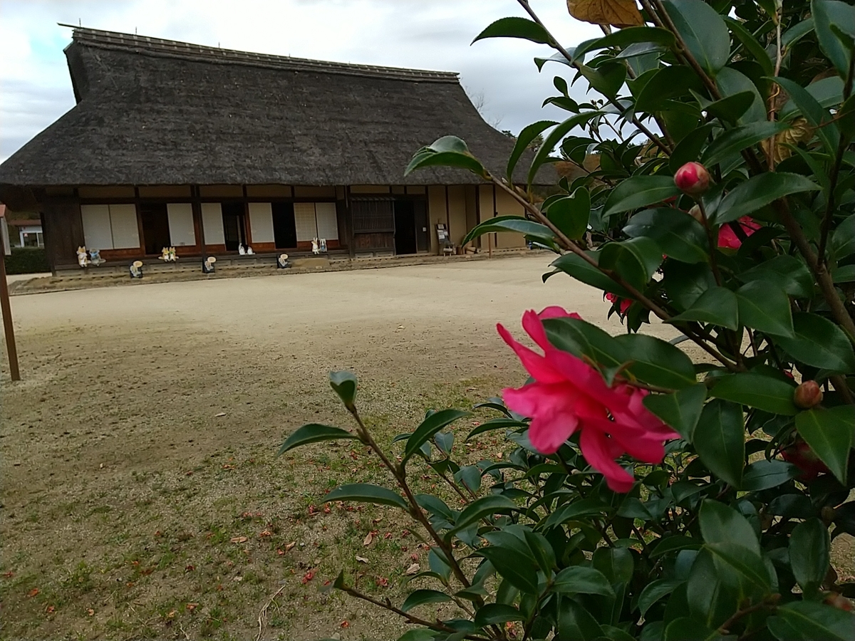 f:id:bontosyougatu:20201123165507j:plain