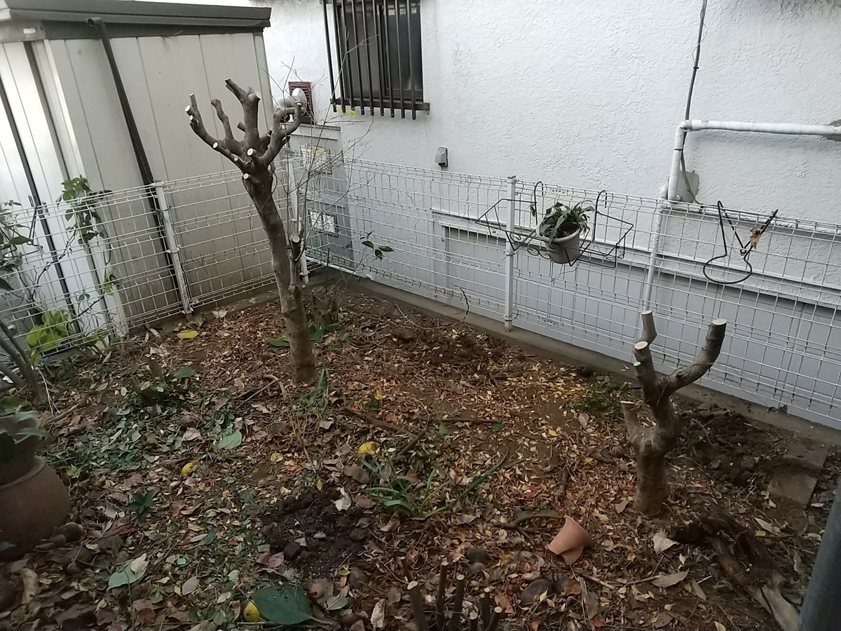 f:id:bontosyougatu:20201213161015j:plain