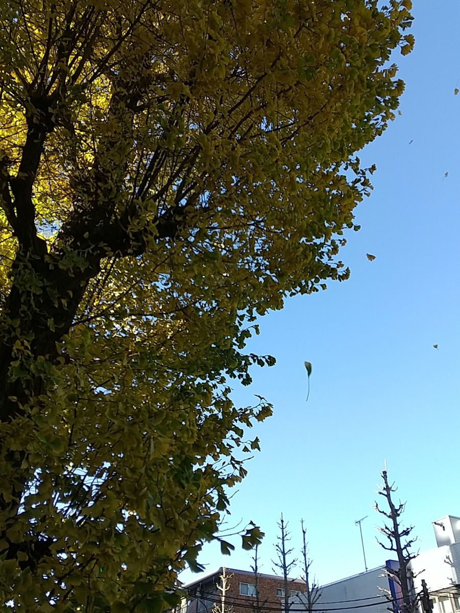 f:id:bontosyougatu:20201217195317j:plain