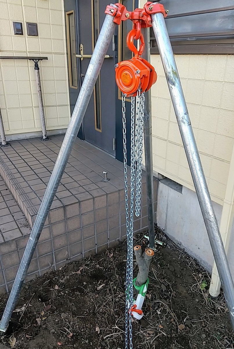 f:id:bontosyougatu:20201227171923j:plain