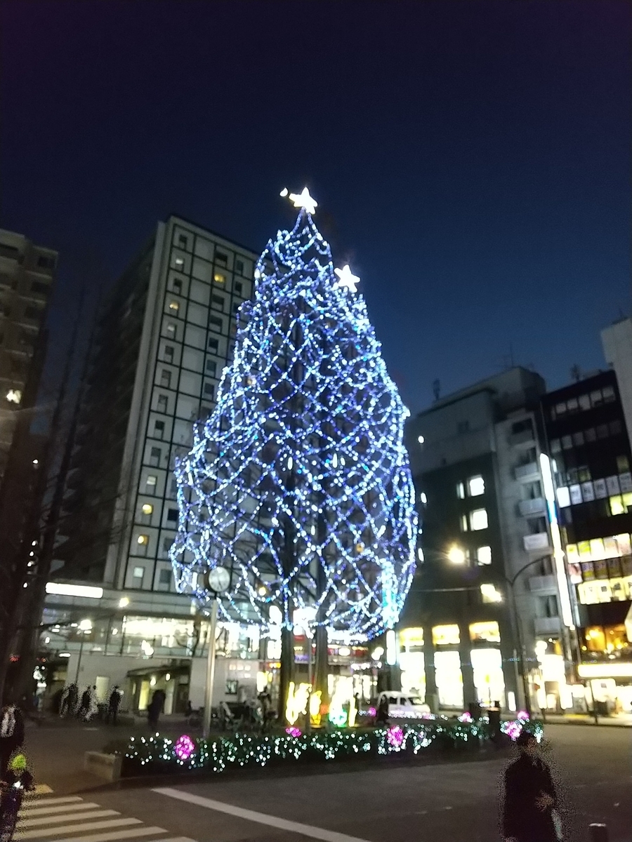 f:id:bontosyougatu:20210122201312j:plain