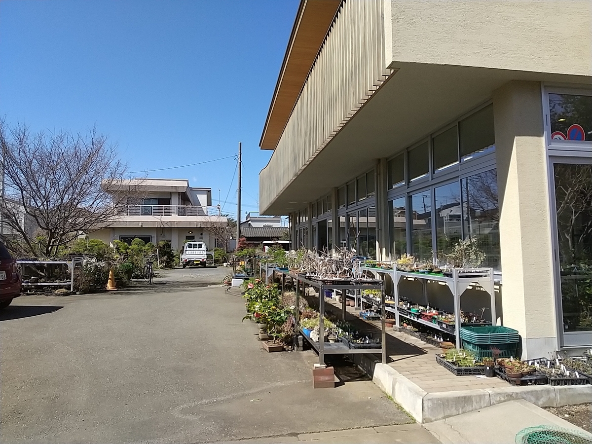 f:id:bontosyougatu:20210315201958j:plain
