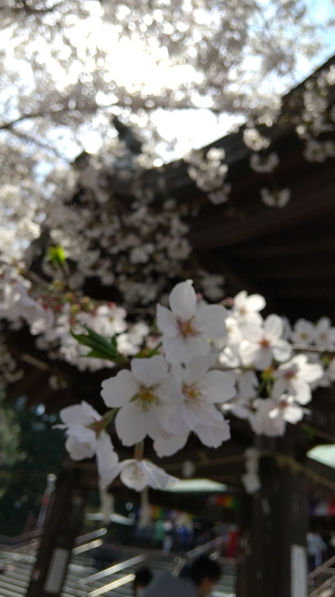 f:id:bontosyougatu:20210327202128j:plain
