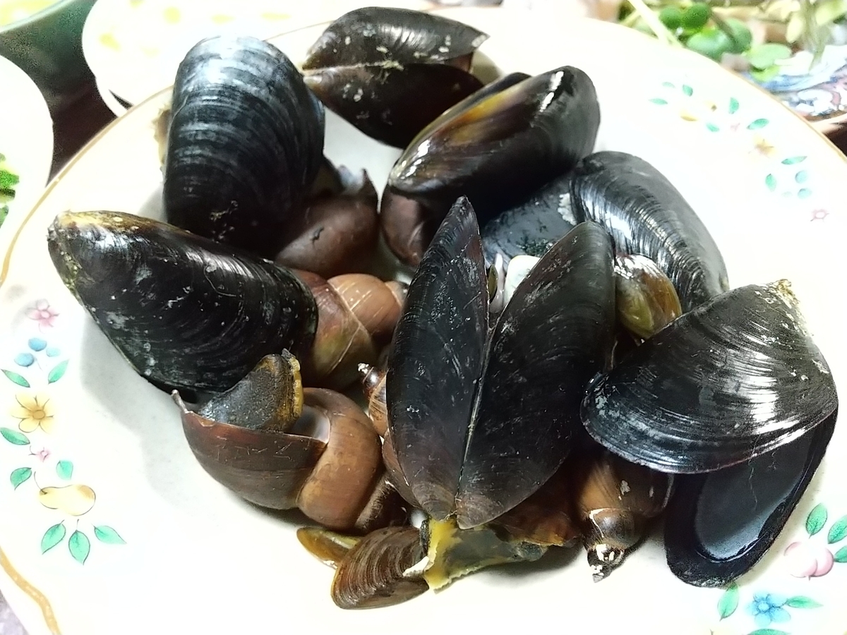f:id:bontosyougatu:20210404162230j:plain